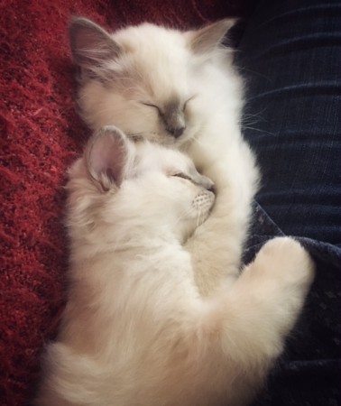 benjamin och Bella-Mi myser 10 v.